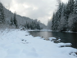 The river near Norm's home